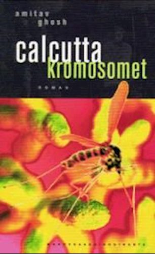 Calcutta-kromosomet