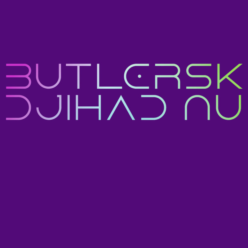 Det var en meget skuffende “AI”-revolution